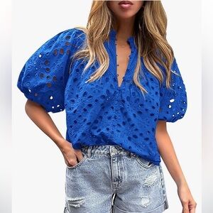 Pretty Garden Eyelet Short Lantern Puffy Sleeve  Blouse Blue
